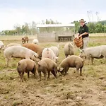 Landgasthof Zur Tanne Szálloda