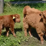 Landgasthof Zur Tanne Szálloda 3*