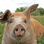 Szálloda Landgasthof Zur Tanne Waltershausen