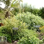 Landgasthof Zur Tanne Waltershausen