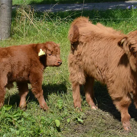 Landgasthof Zur Tanne Szálloda 2*