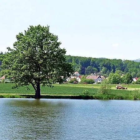 Landgasthof Zur Tanne Hotel 3*