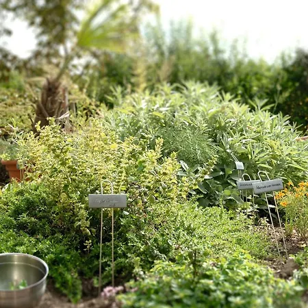 Landgasthof Zur Tanne Waltershausen