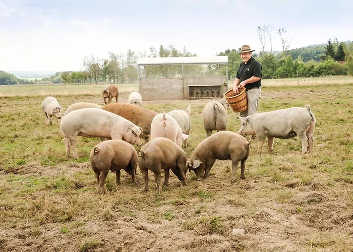 Landgasthof Zur Tanne Hotel