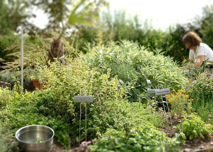 Landgasthof Zur Tanne Waltershausen